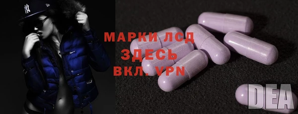 СК Белокуриха