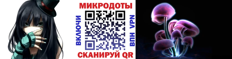 Псилоцибиновые грибы Psilocybine cubensis  Первомайск 